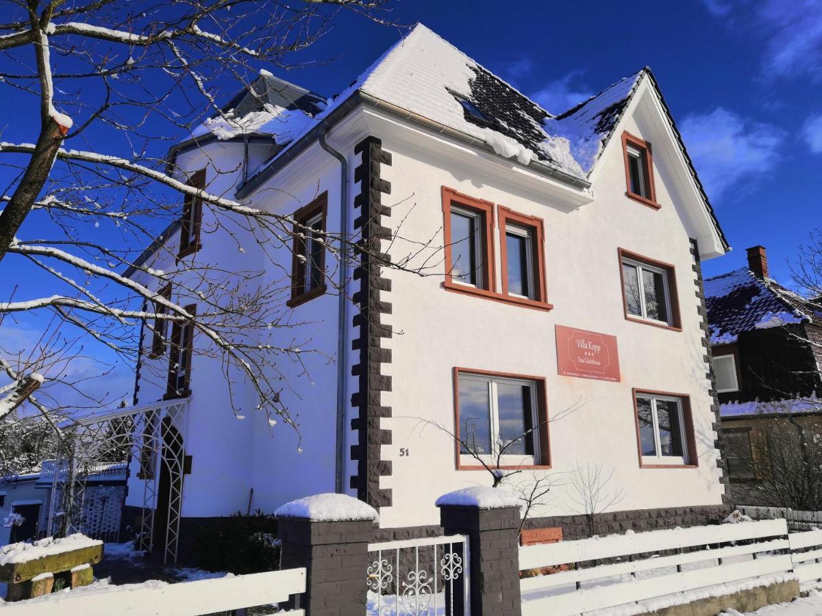 Villa Kopp-Das Gaestehaus Hopfingen Екстер'єр фото
